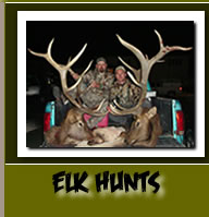 Pronghorn hunting trips