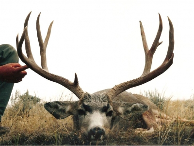 Thunder Ridge Outfitters Deer-Hunt 025