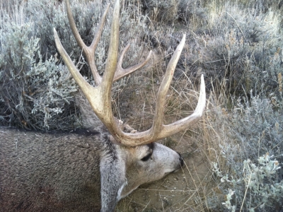 Thunder Ridge Outfitters Deer-Hunt 058