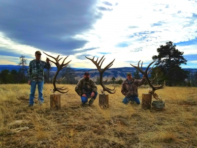 Thunder Ridge Outfitters Elk-Hunt 025