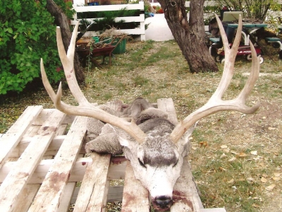 Thunder Ridge Outfitters Deer-Hunt 007