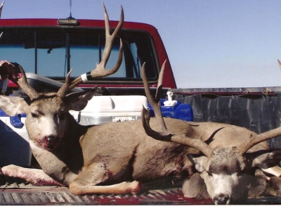 Thunder Ridge Outfitters Deer-Hunt 009